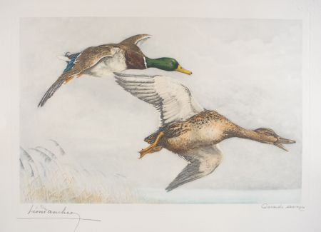 Eau-Forte Danchin - 03 Canards sauvages - A couple of Mallards flying (Original)