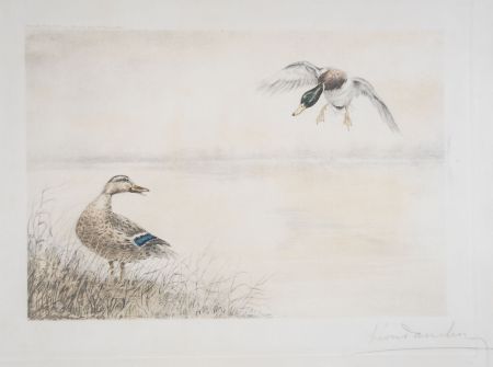 Eau-Forte Danchin - 05 Canards se posant - Two Ducks landing (Original)