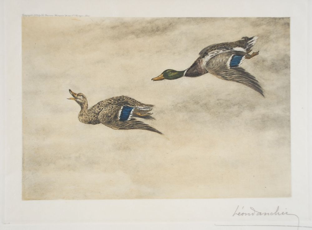 Eau-Forte Danchin - 06 Canards de passage - Two passing Ducks (Original)