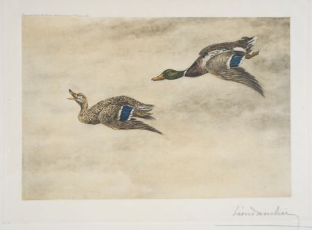 Eau-Forte Danchin - 06 Canards de passage - Two passing Ducks (Original)