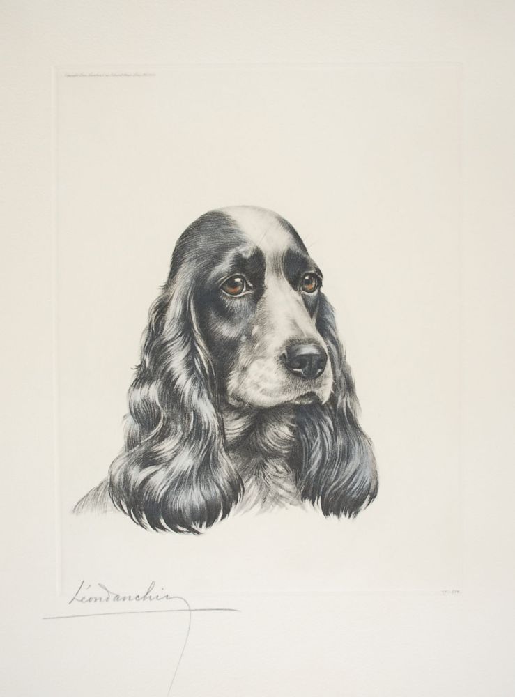 Eau-Forte Danchin - 23 Tête de Cocker femelle - Black and white Cocker Spaniel head (Original)
