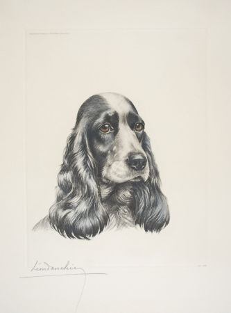 Eau-Forte Danchin - 23 Tête de Cocker femelle - Black and white Cocker Spaniel head (Original)