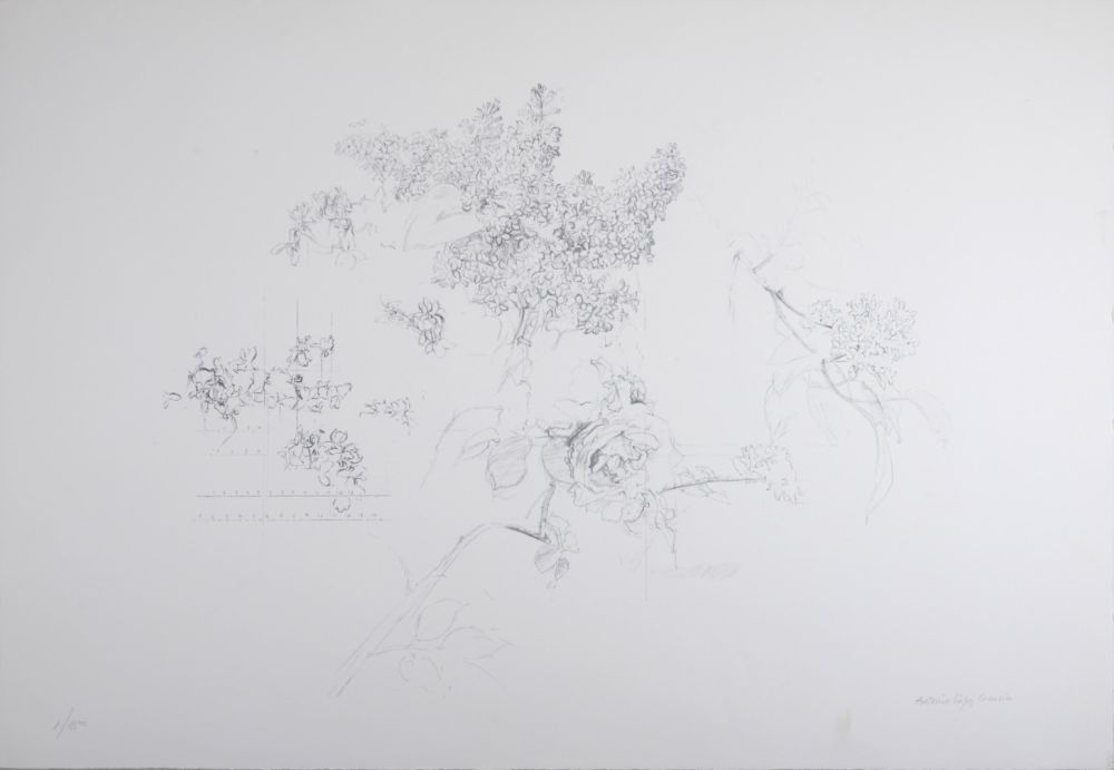 Lithographie López Garcia - Composition