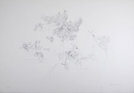 Lithographie López Garcia - Composition