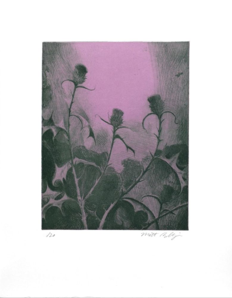Gravure Bollinger - Dusk Thistle
