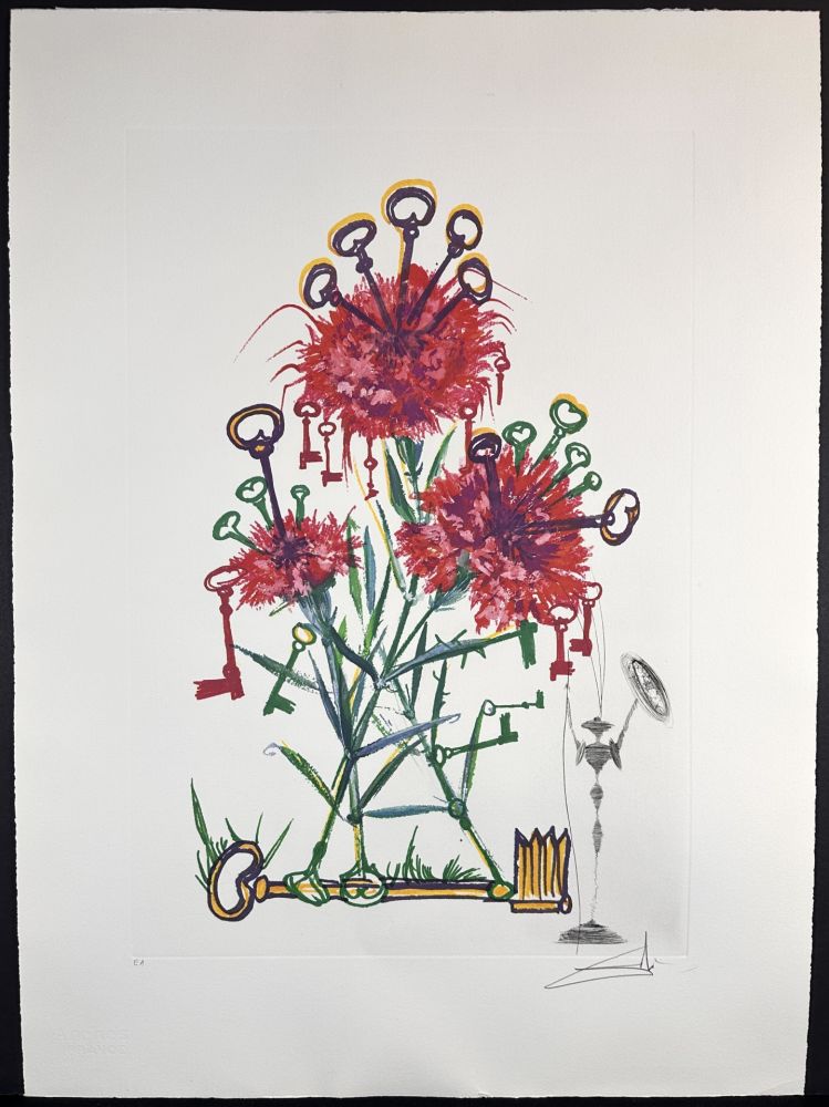 Gravure Dali - Florals Carnation Don Quixote