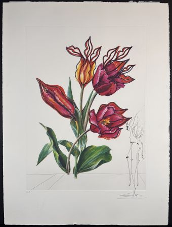 Gravure Dali - Florals Tulips Girafe en Feu