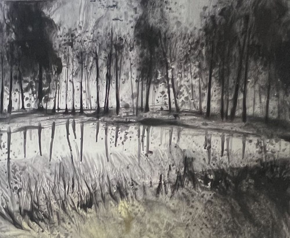 Aucune Technique Havaux - Grande Aquarelle sur papier signée Forêt