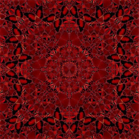 Sérigraphie Hirst - H10-2 Nūr Jahān