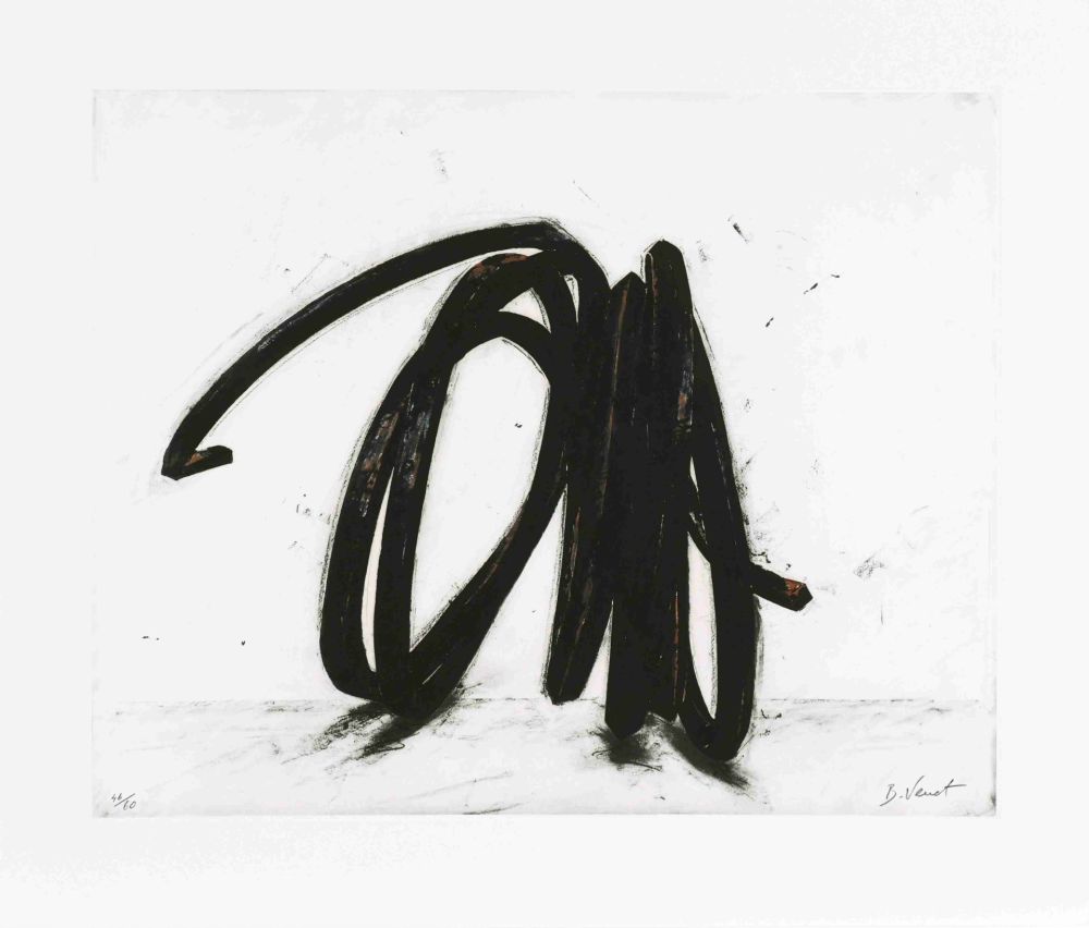 Eau-Forte Venet - Indeterminate Line II