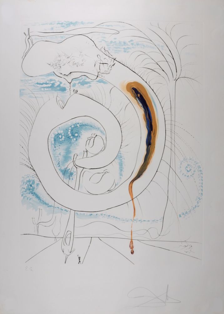 Lithographie Dali - Le cercle viscéral du cosmos