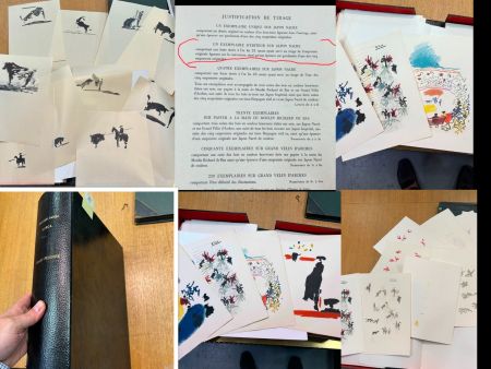 Livre Illustré Picasso - One of One /Unique- Chant Funèbre pour Ignacio Sánchez Mejías 