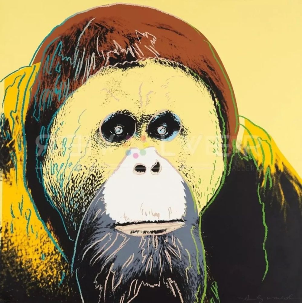 Sérigraphie Warhol - Orangutan 299