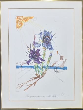 Pointe-Sèche Dali - Salvador Dalí (1904–1989) - Coloured drypoint etching on heliogravures - 1972