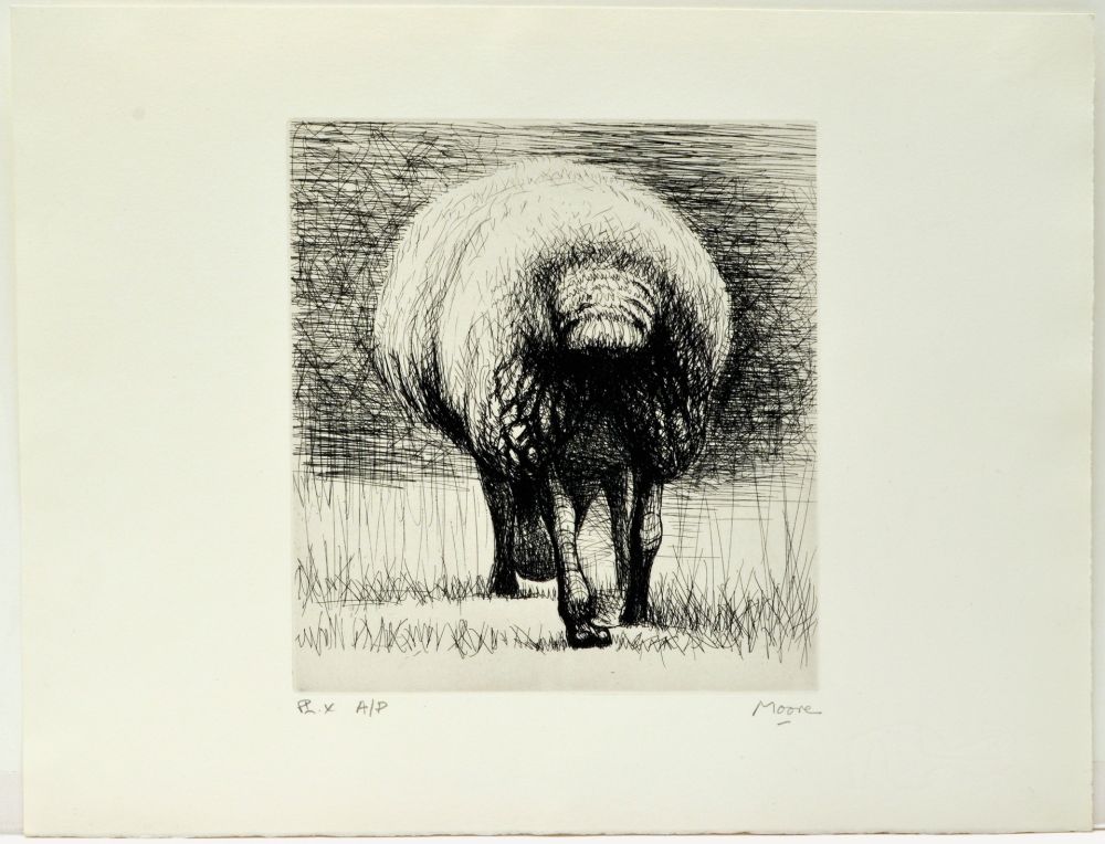Eau-Forte Moore - Sheep back view