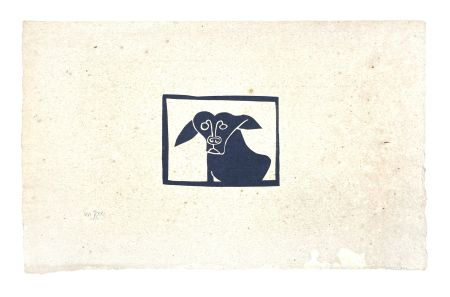 Aucune Technique Müller - SKILIA II