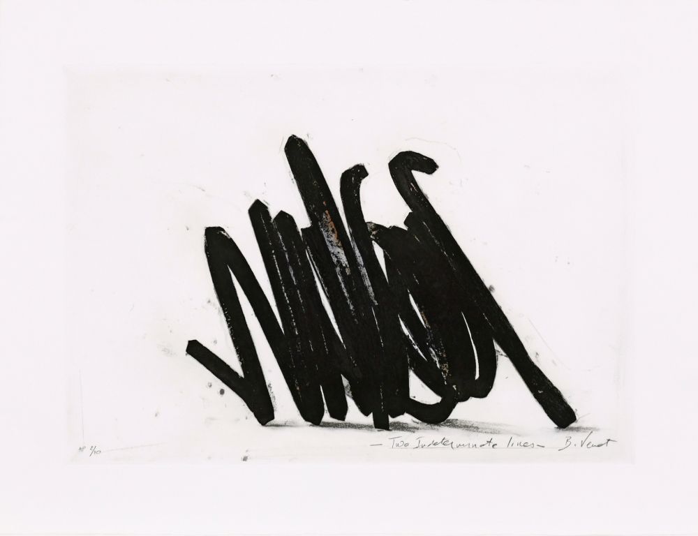 Eau-Forte Venet - Two indeterminate lines 02